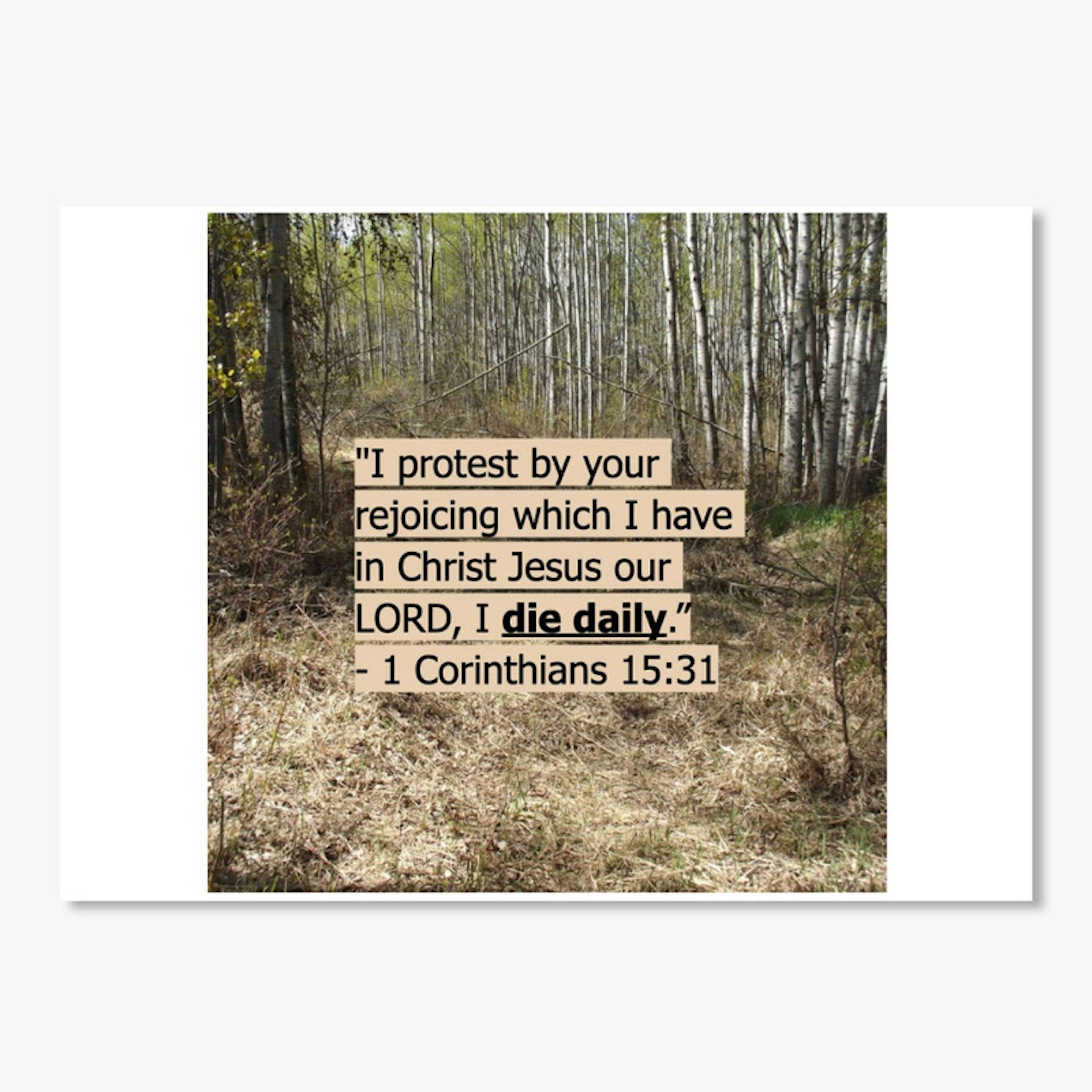 1 Corinthians 15:31